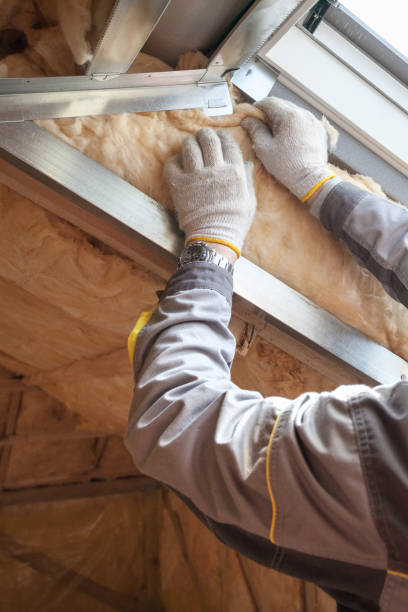 Types of Insulation We Offer in IL